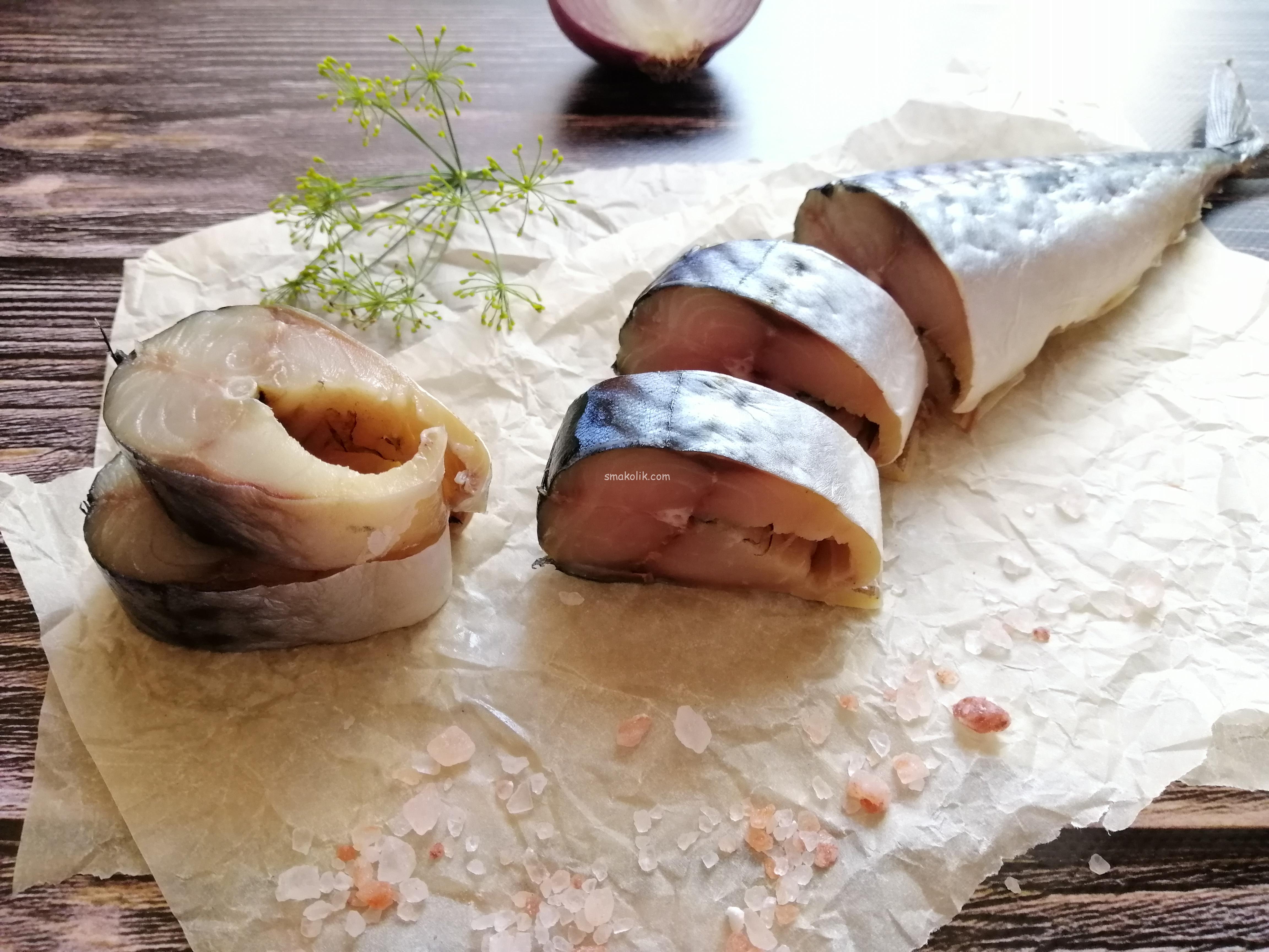 скумбрия 