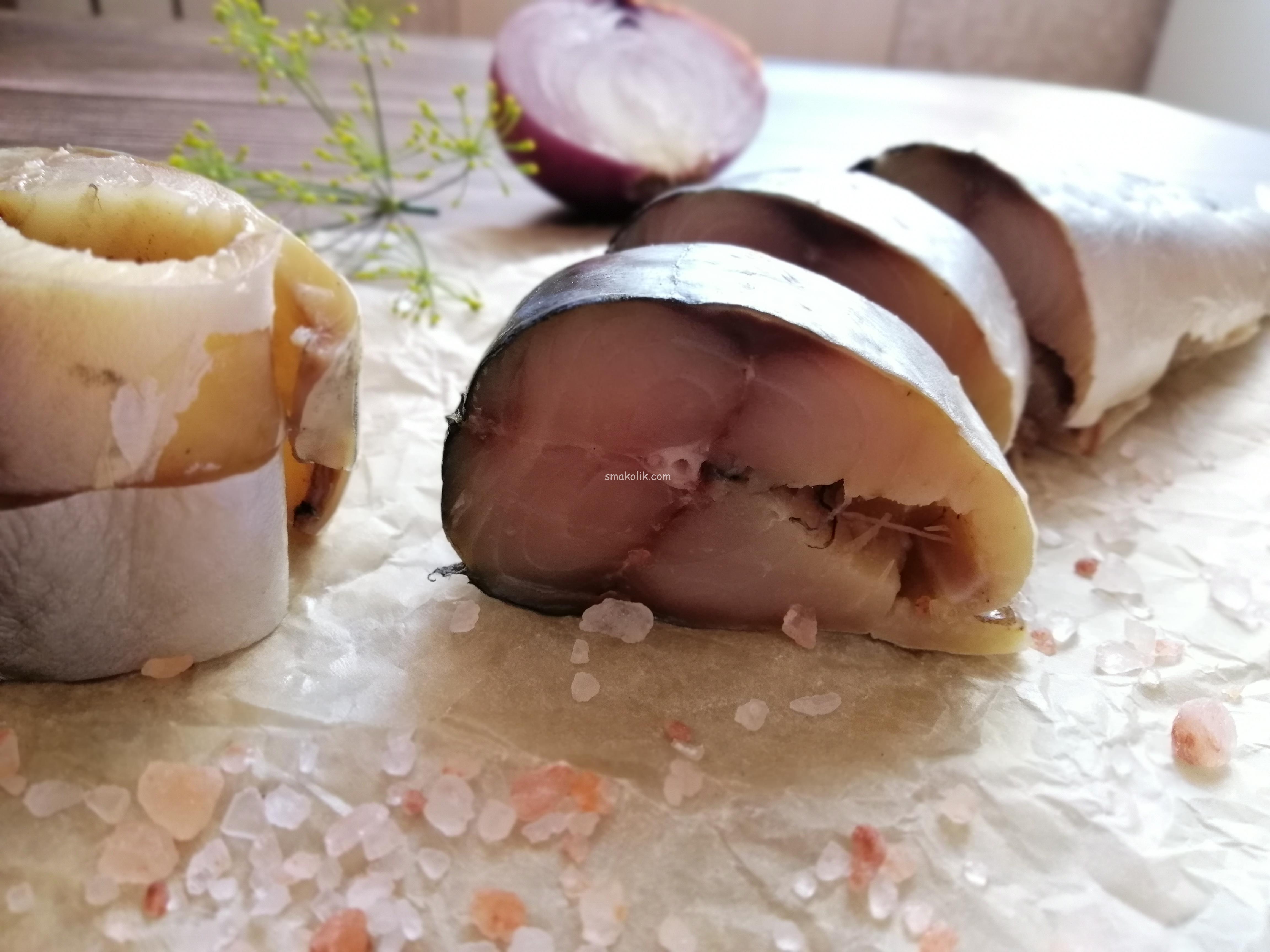 Скумбрия